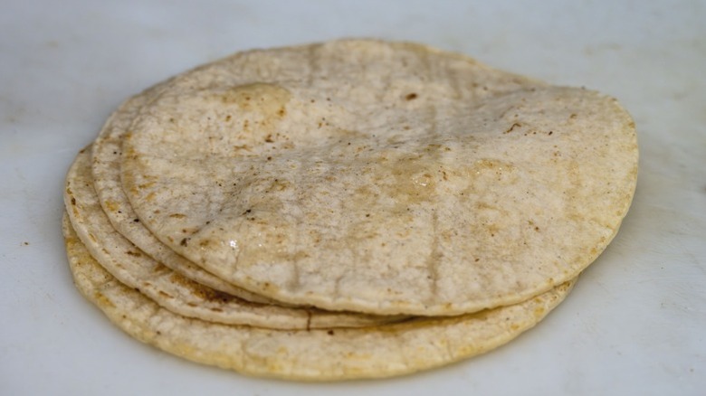 A small stack of corn tortillas.