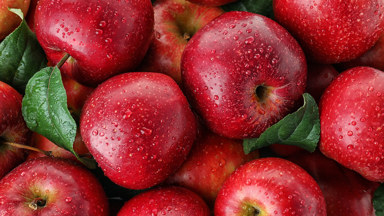 A pile of SugarBee apples covered in water droplets