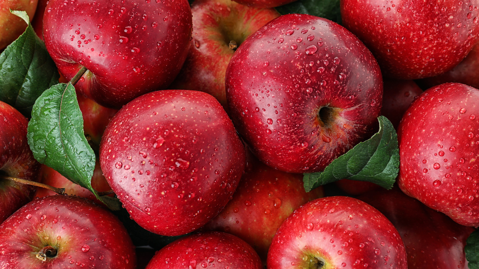 The Best Ways To Use Trader Joe's SugarBee Apples