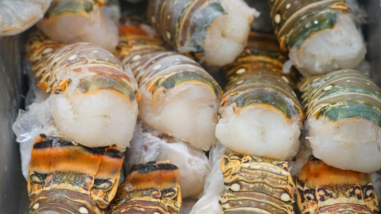 Frozen lobster tails