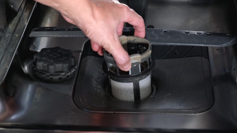 A person removing a dishwasher filter by hand.