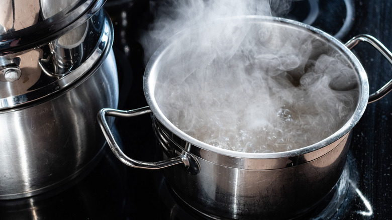 A stainless steel pot of boiling water rests on a stovetop.