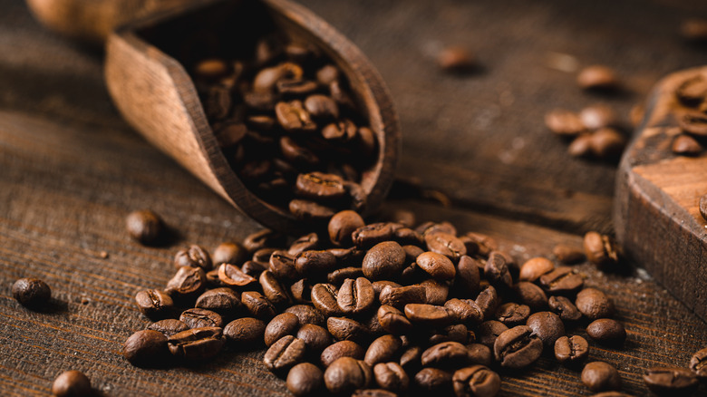 Coffee beans in a wooden spoon
