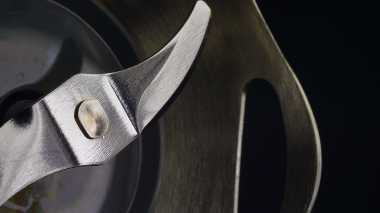 Close up of a blade in a food processor