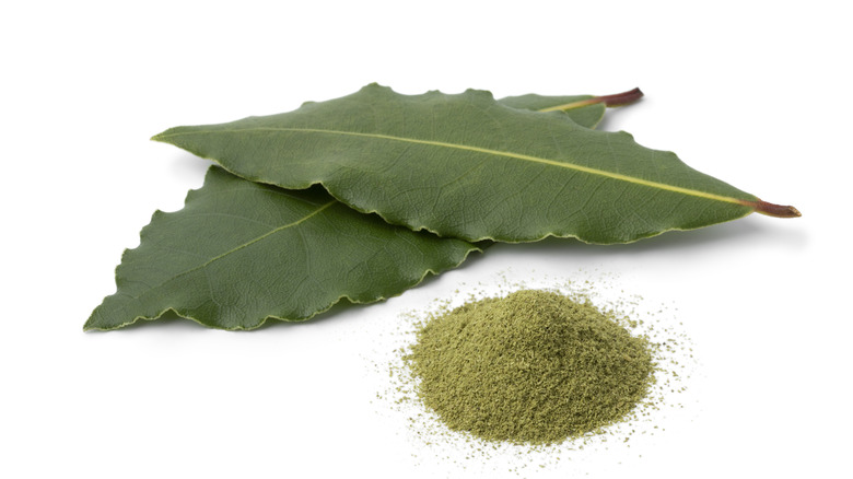 Fresh bay leaves and powder