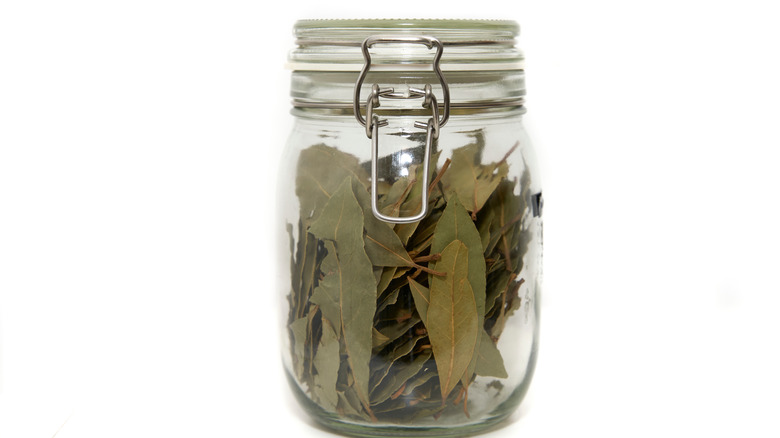A glass jar of dried bay leaves