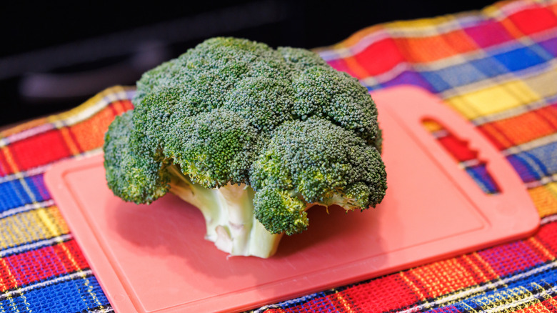 a head of green broccoli on a pink plastic cutting board, and colorful towel underneath
