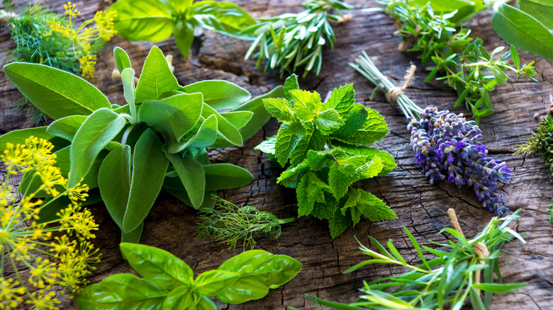 Various fresh herbs on a wood background