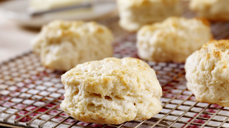 Several buttermilk biscuits sitting on a wire rack.