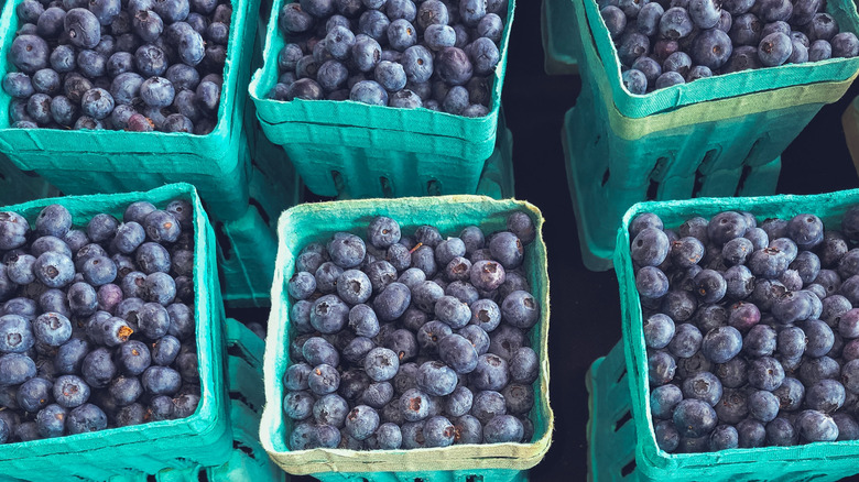 Pints of blueberries from Hammonton