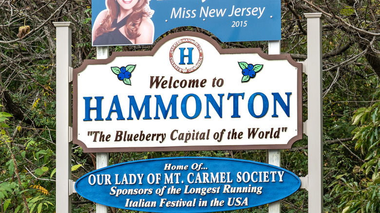 Hammonton blueberry capital sign