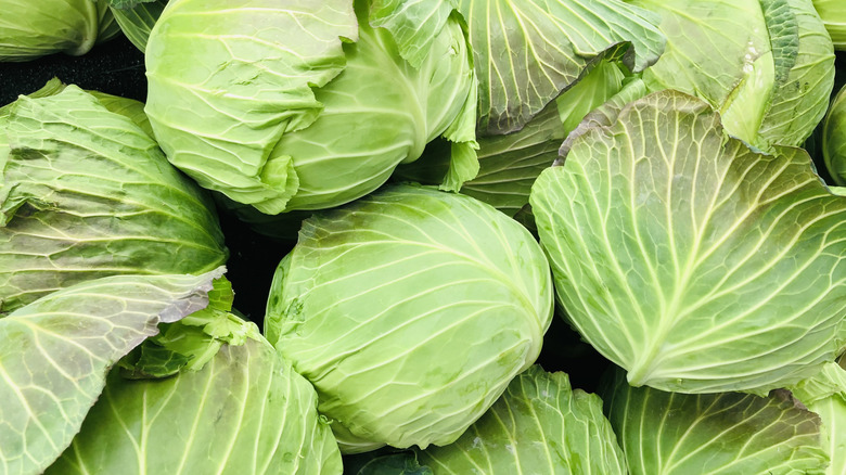A pile of cabbage snapped after harvest.