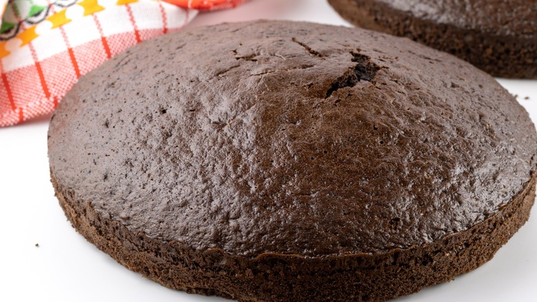 Unfrosted chocolate cake on white surface