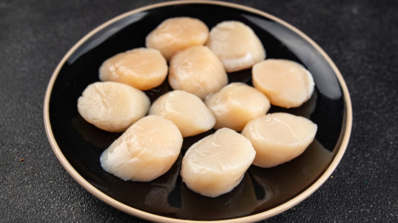 Raw scallops on a black plate