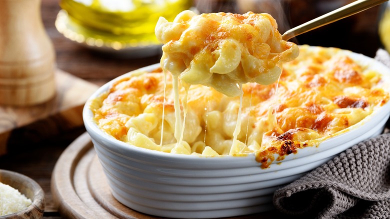 Macaroni and cheese in a white bowl with a fork