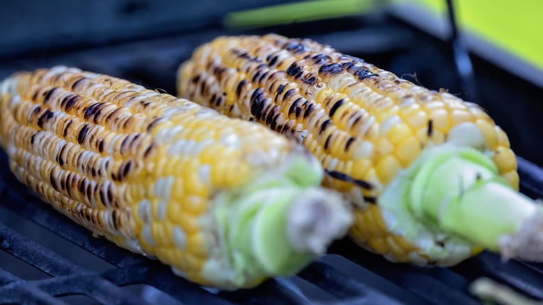 Two ears of corn grilling on the grates without husks.