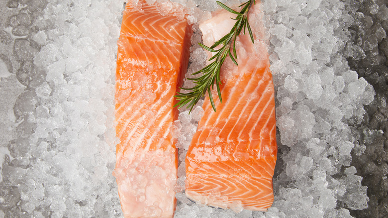 Two small pieces of frozen salmon on ice topped with a rosemary sprig