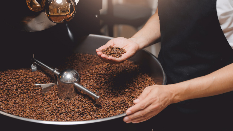A person holding a handful of coffee beans over a roaster