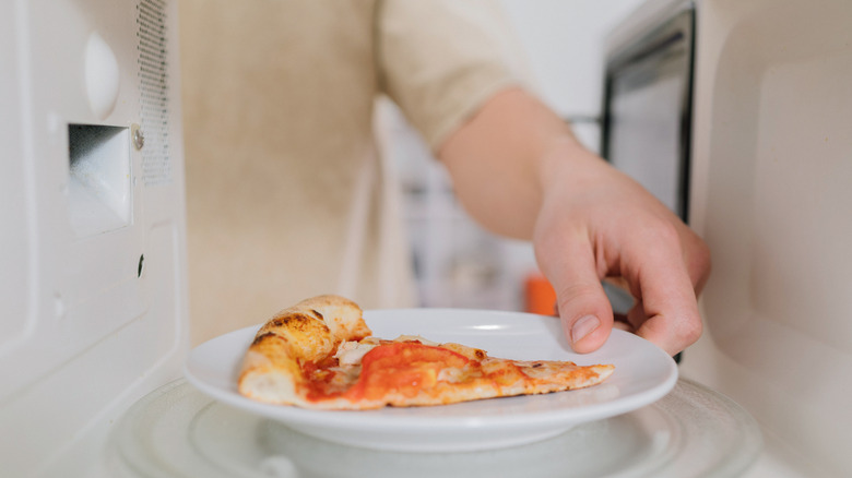 A person places a plate of pizza into a microwave
