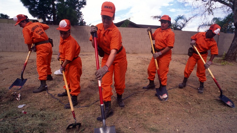 Federal prisoners in Arizona working on a chain gang with shovels