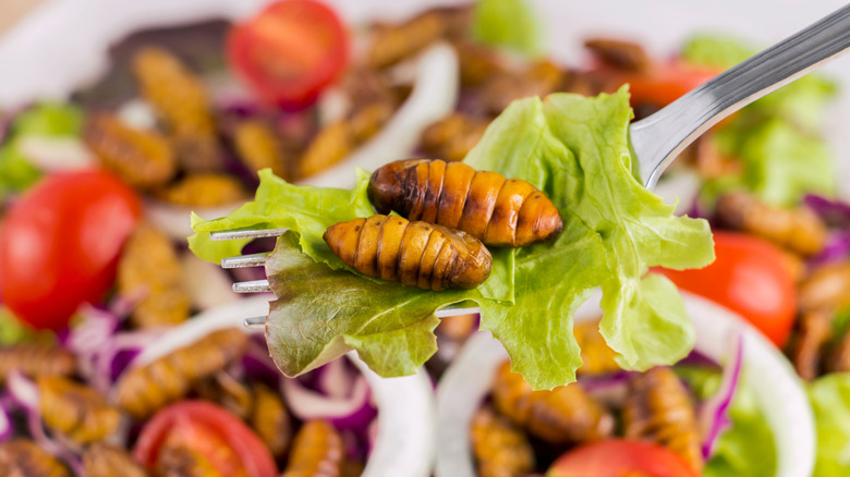 Mealworms as a salad topper