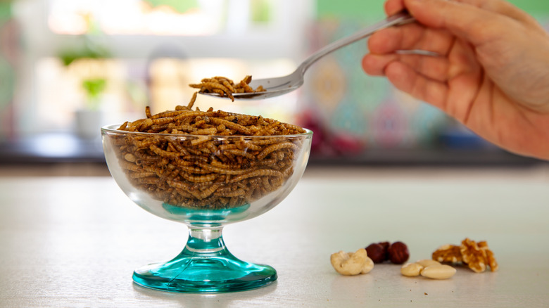 Mealworms being served in a dish