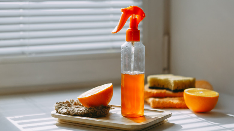 A homemade citrus cleaner, made from vinegar soaked orange peels