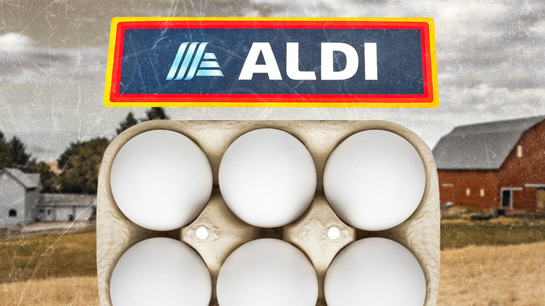 Eggs in carton, Aldi sign, and farm scenery in the background