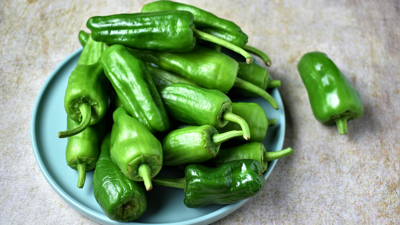 Small plate of jalapeno peppers