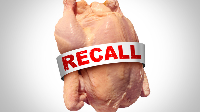 Chicken recall as a symbol of contaminated poultry with salmonella or listeria foodborne illness outbreak causing possible food poisoning with dangerous bacteria as a public health risk with 3D illustration elements.