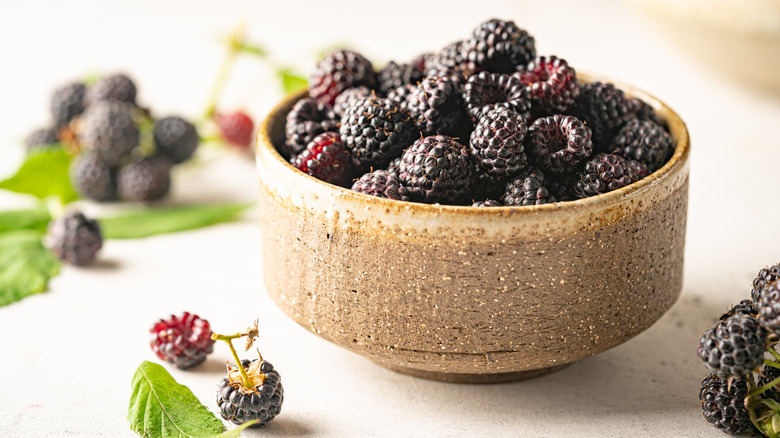 Stone bowl holding black raspberries