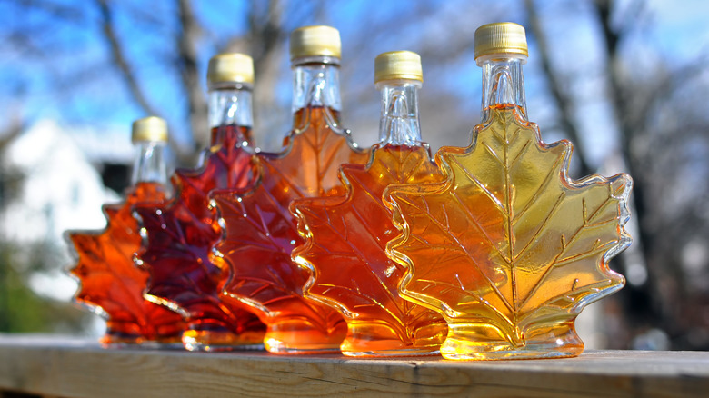 Bottles of different color maple syrup