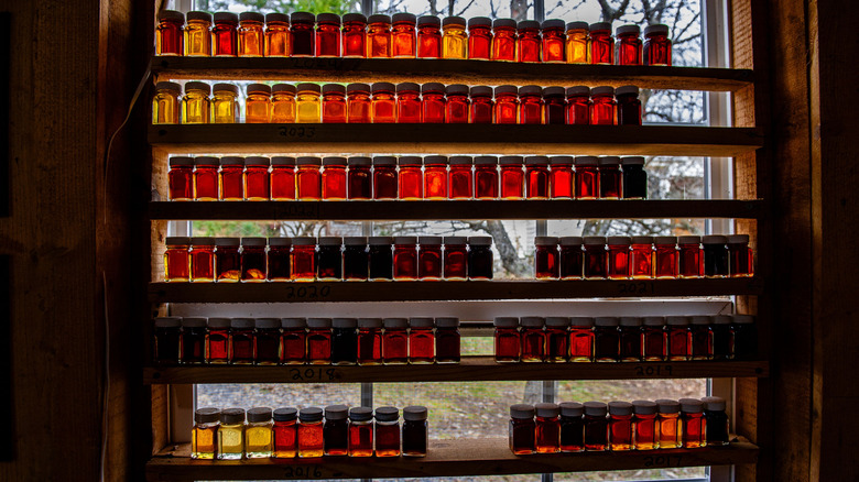Rows of different color maple syrup