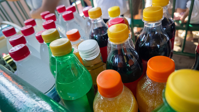 An assortment of plastic soda bottles