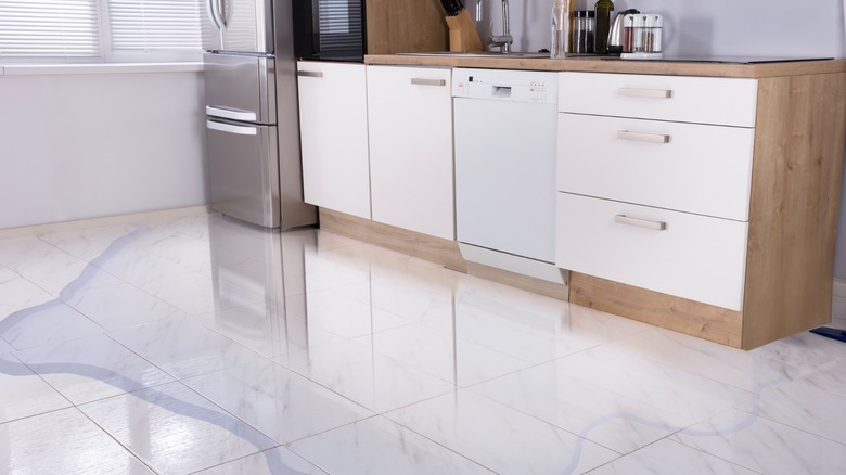 Water damage from leaking dishwasher