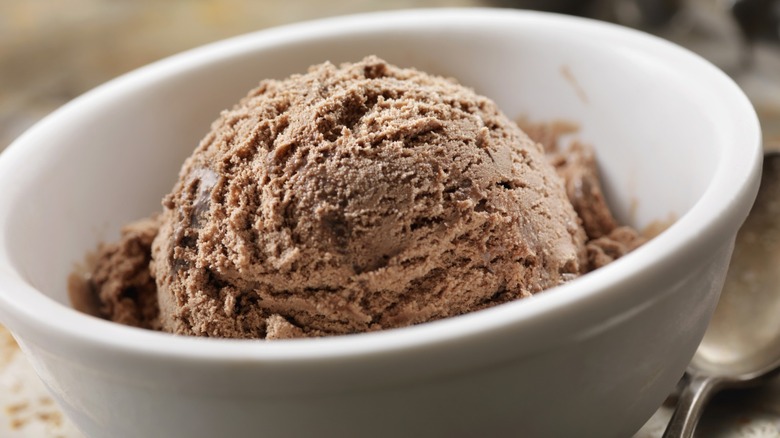 Chocolate ice cream in a bowl.