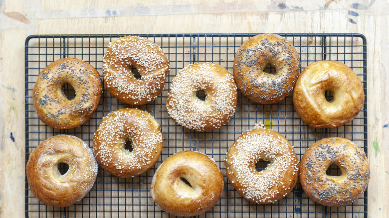 Freshly baked bagels on a wire rack.