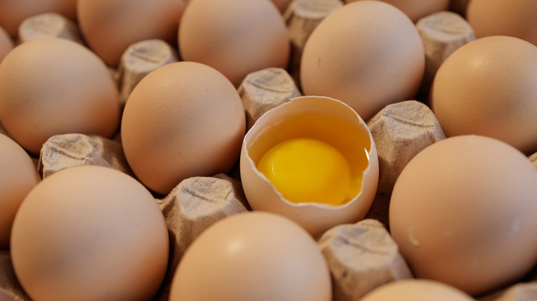 One cracked egg in an egg box full of whole eggs.