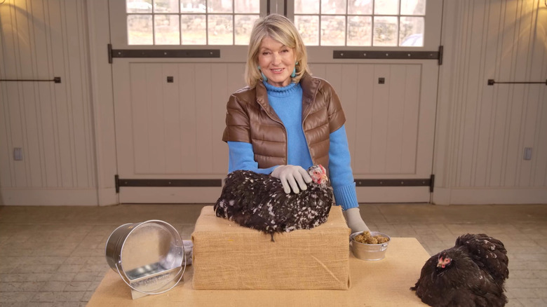 Martha Stewart smiling with chickens on Martha Gardens