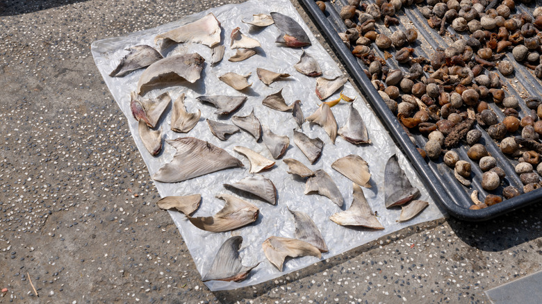 dried shark fins for sale outside Asian market