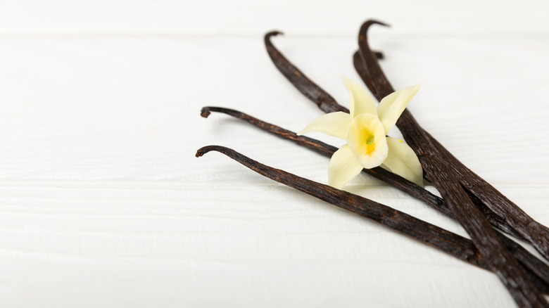 Vanilla pods and a flower sitting on a white surface