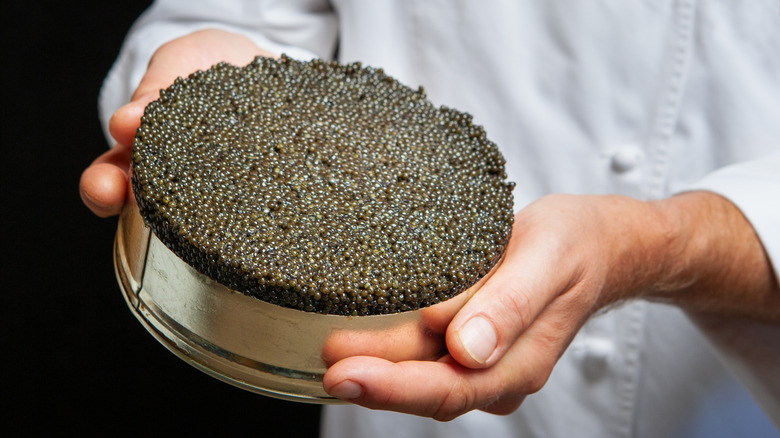 Chef holding a container of beluga caviar