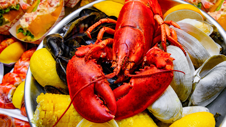 Close-up of a Maine lobster surrounded by shellfish and lemons in a bowl