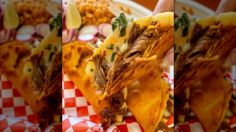 Closeup of hand holding a birria taco from Birrieria Familia Castro