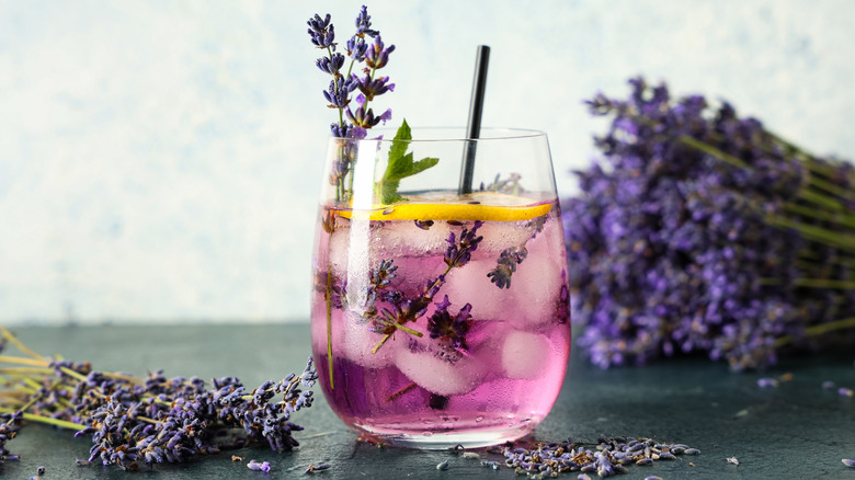 A glass of purple lavender lemonade with ice, a straw, and dried lavender sprigs