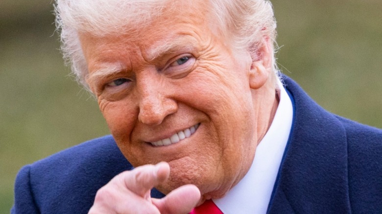 Donald Trump pointing at the camera