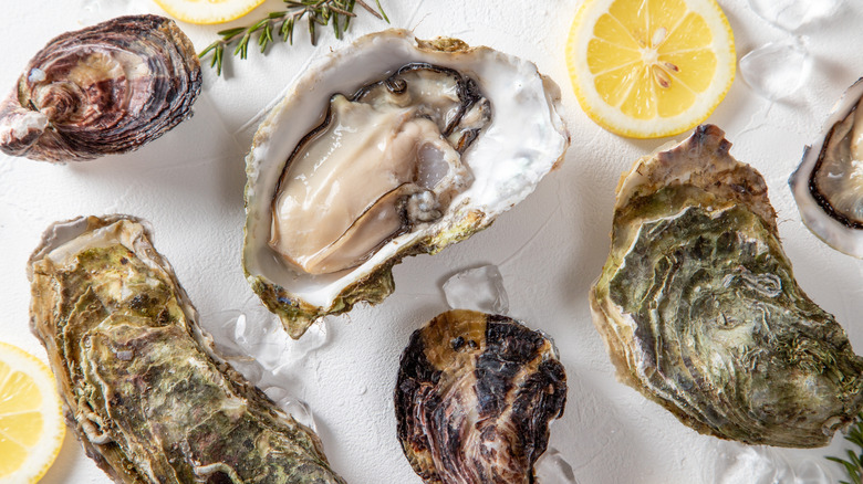 To view of raw oysters with lemon