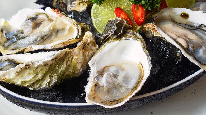 Raw oysters served on the half-shell over ice with lime and chilis
