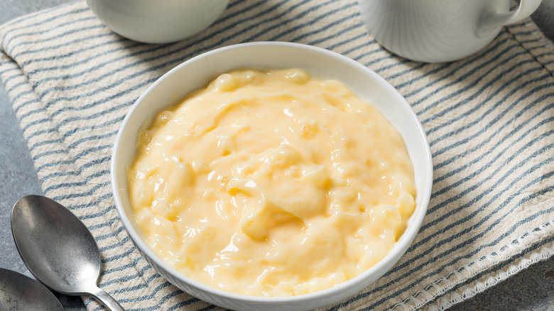 A bowl of tapioca pudding next to spoon