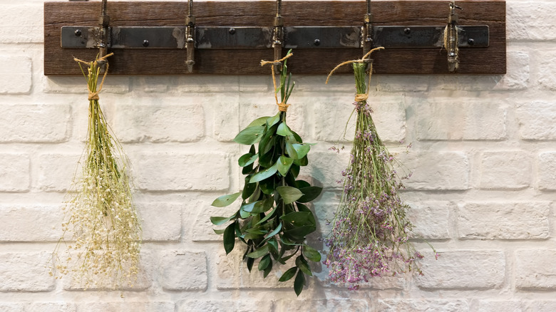 Herbs tied up to dry